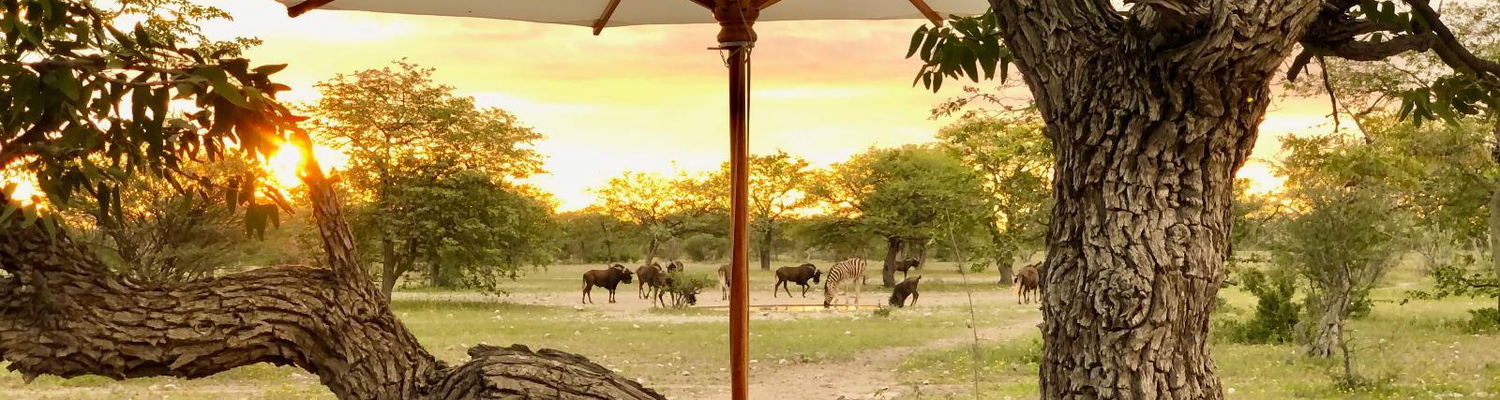 Etosha Oberland Lodge, Ombika, Namibia, DCC Hotel Collection 1