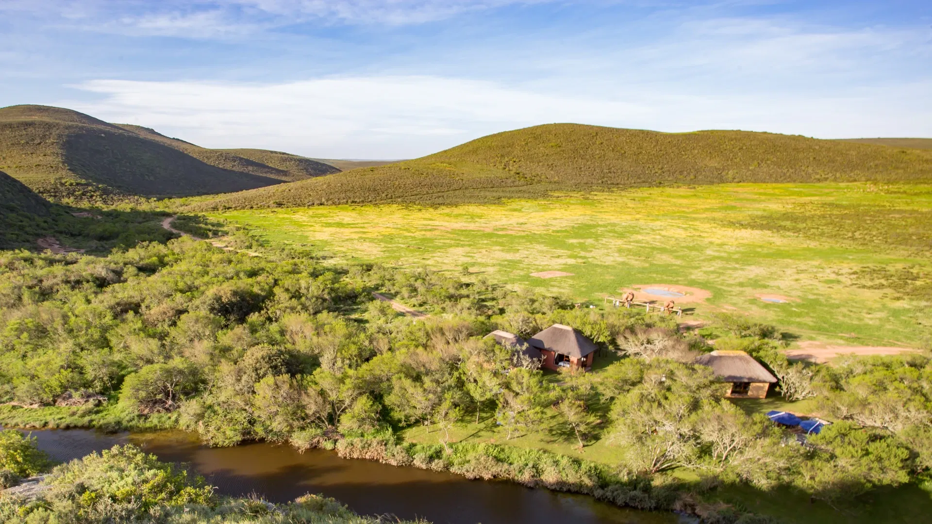 Experience Indalu Game Reserve at The DCC Hotel Group
