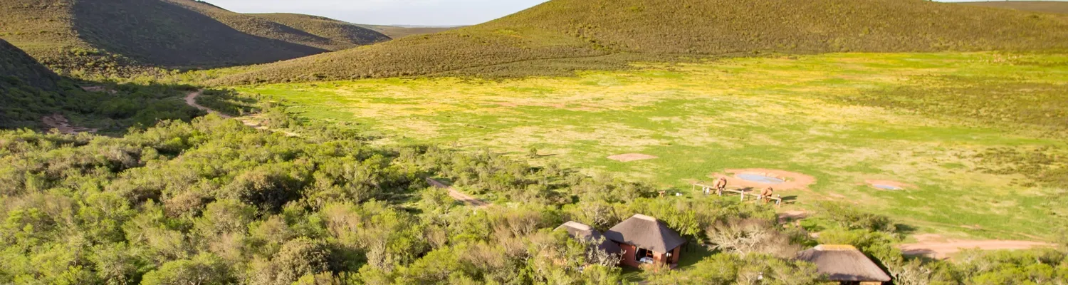 Experience Indalu Game Reserve at The DCC Hotel Group