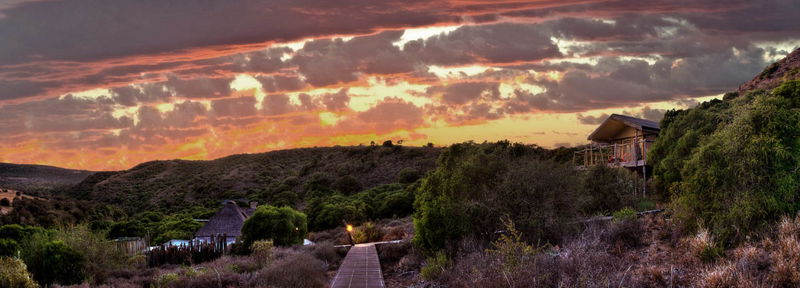 Hillsnek Safari Camp (Amakhala Game Reserve, Eastern Cape) - DCC Hotel ...