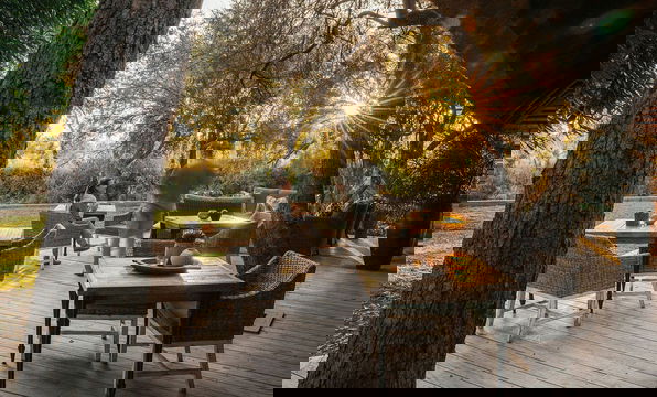 Simbavati Amani Lodge offers a serene outdoor dining area under the shade of trees, perfect for relaxation and enjoying the natural surroundings.