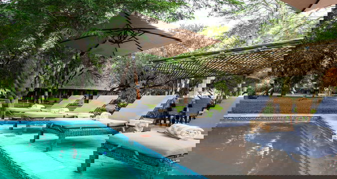 Simbavati Amani Lodge offers a serene swimming pool surrounded by lounge chairs and umbrellas, creating a relaxing resort atmosphere for guests to unwind.
