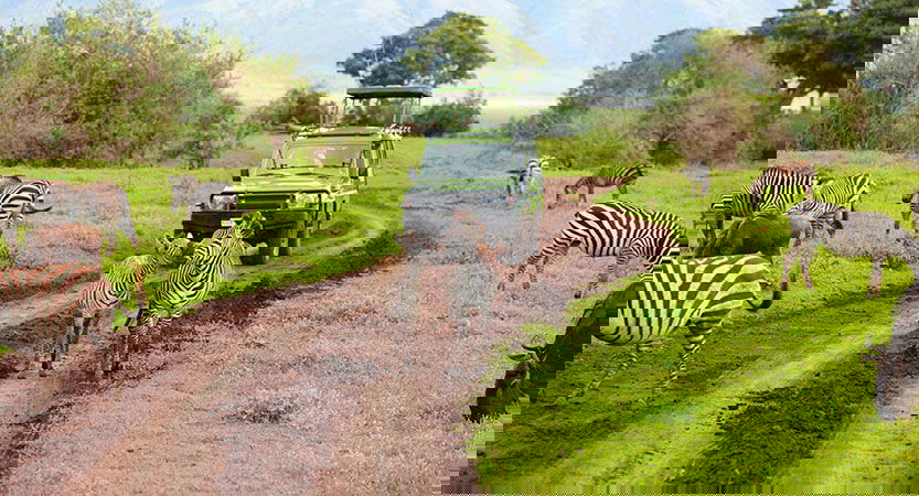 Day Trips in Arusha National Park. Tanzania. DCC Hotel Group