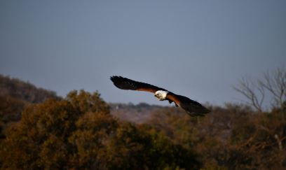 Nature Walks and Wildlife Viewing. West Coast, DCC Hotel Collection