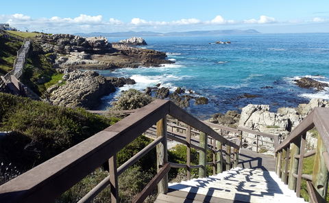 Cliff Path, South Africa, Accommodation, Attractions, Hermanus, DCC Hotel Group