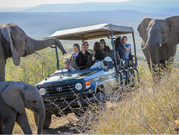 Thula Thula Private Game Reserve Empangeni, KwaZulu-Natal. Elephant Interaction and Experience. DCC Hotel Group Collection.