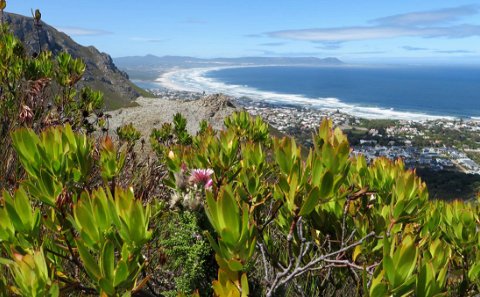 Fernkloof Nature Reserve