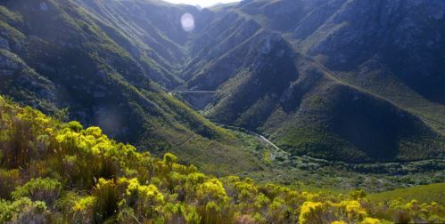 Exploring Fernkloof Nature Reserve