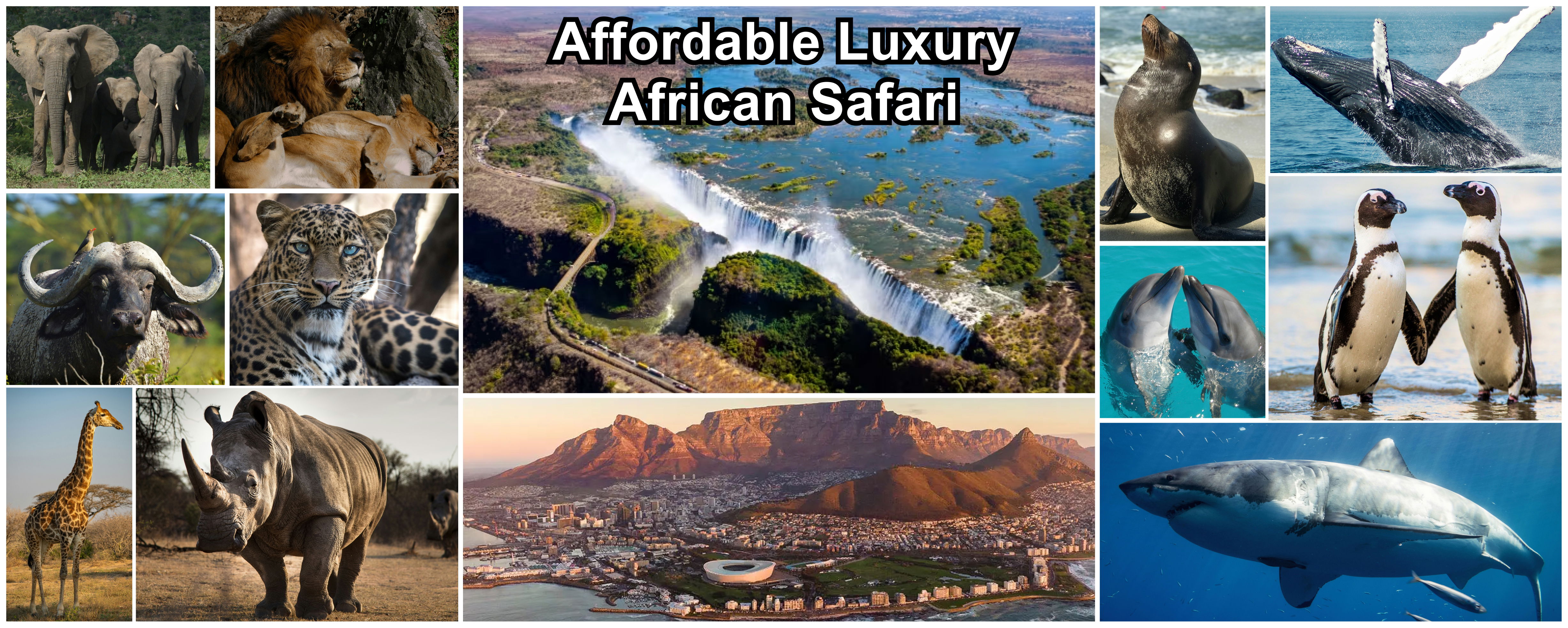 Affordable Luxury African Safari, DCC Hotels, DCC Hotel Group, Hermanus, Kruger, Southern Africa