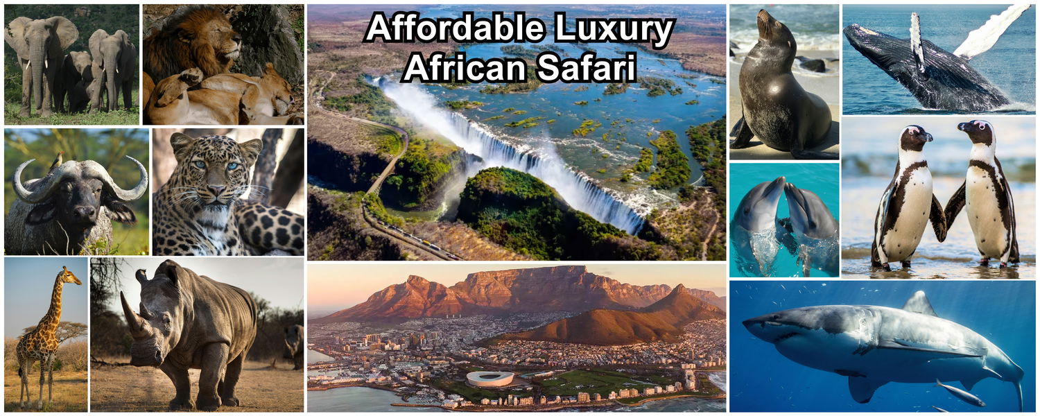 Affordable Luxury African Safari, DCC Hotels, DCC Hotel Group, Hermanus, Kruger, Southern Africa