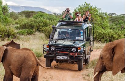 Game Drives in Kruger National Park, Kruger National Park, DCC Hotel Collection