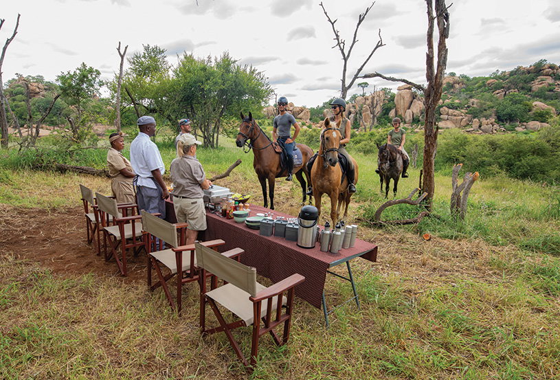 Walking Safaris. Abelana Game Reserve. Abelana River Lodge. Limpopo. DCC Hotel Group