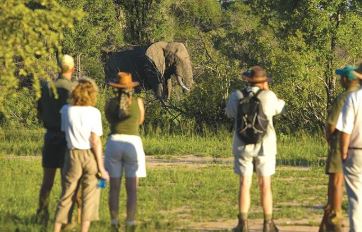 Guided Bush Walks in Kruger National Park, Kruger National Park, DCC Hotel Collection