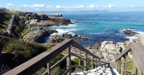 Cliff path, Hermanus, DCC Hotel Collection