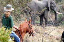 Horseback safaris, Limpopo, DCC Hotel Collection