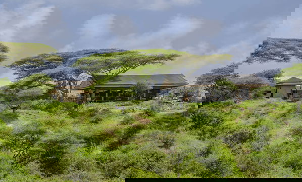 Nestled amidst the lush vegetation and expansive skies, this charming retreat offers a peaceful connection with nature, perfect for unwinding in Serengeti's tranquility.