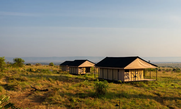 Experience nature’s beauty at Simbavati Mara, with charming buildings set against expansive fields, perfect for relaxation and outdoor exploration.