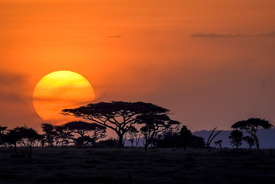 Witness the beauty of nature as the sun sets, casting a warm glow over the rolling hills and expansive fields, perfect for a peaceful outdoor retreat.