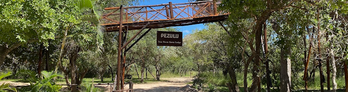 Experience Pezulu Tree Lodge at The DCC Hotel Group