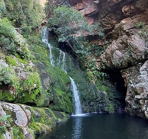 Hiking Trails and Nature Walks