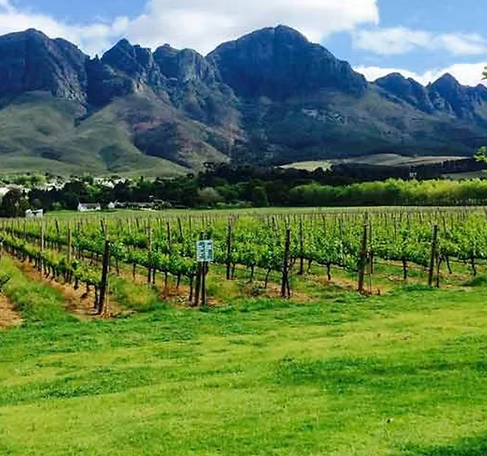 Wine and Tasting Experiences