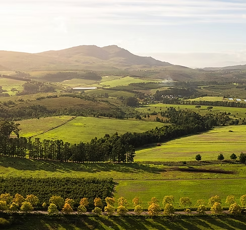 Kogelberg Nature Reserve