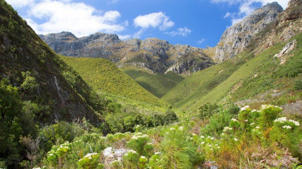 Experience Nature at Jonkershoek Nature Reserve, Stellenbosch, DCC Hotel Group