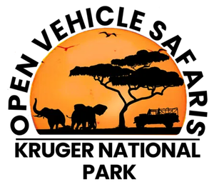 Southern Kruger Safaris