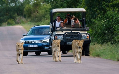 Wild life Safari, Accommodation, Kruger National Park, Marloth Park, Mpumalanga, DCC Hotel Group