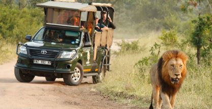 Full-Day Safari in Kruger National Park, Kruger National Park, DCC Hotel Collection