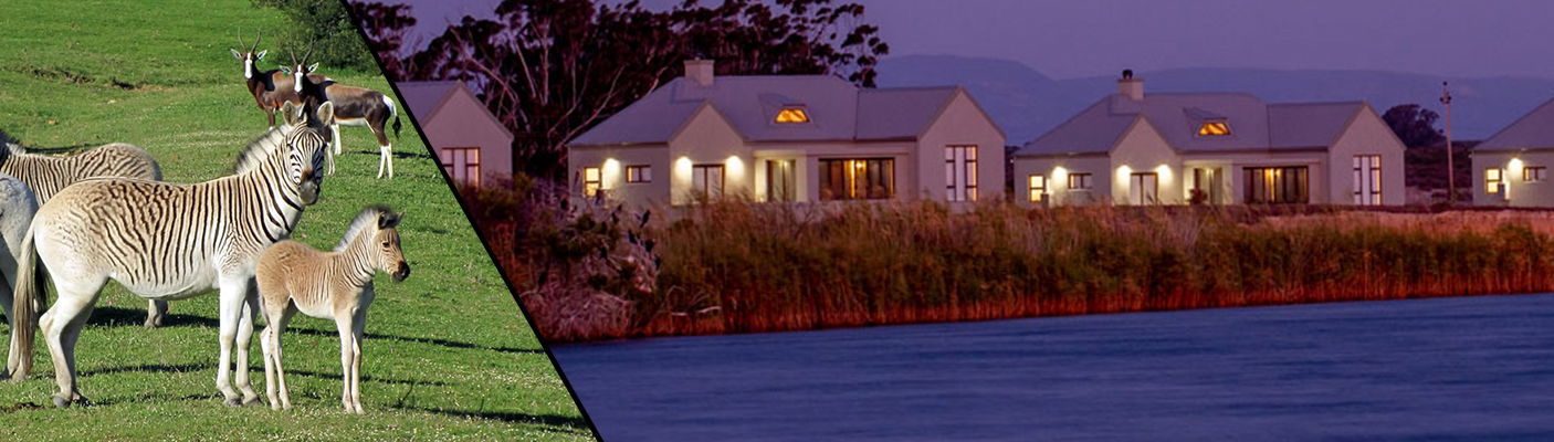 Book Accommodation L'ermitage Quagga Lodge Cape West Coast