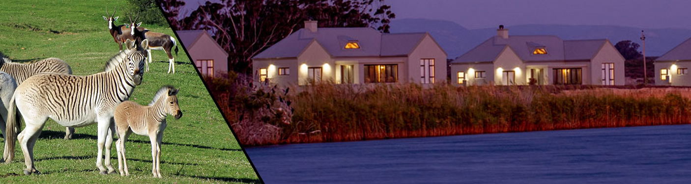 Book Accommodation L'ermitage Quagga Lodge Cape West Coast