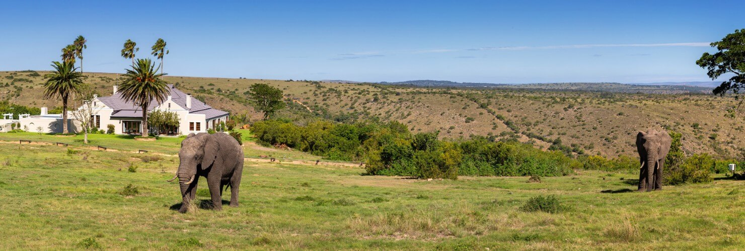 Mills Manor, Mills Lodge, Lalibela Game Reserve, Eastern Cape, DCC Hotel Collection 1