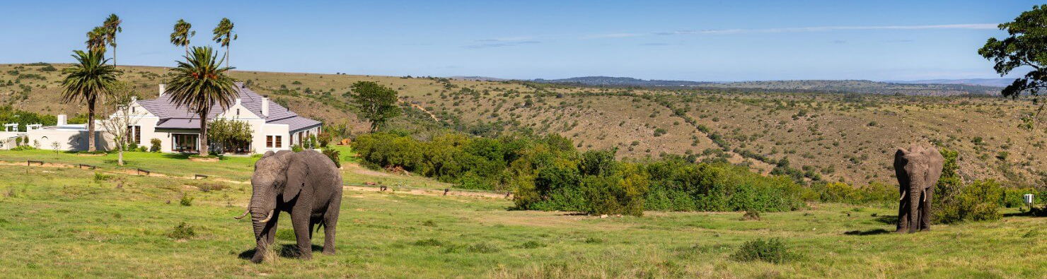 Mills Manor, Mills Lodge, Lalibela Game Reserve, Eastern Cape, DCC Hotel Collection 1