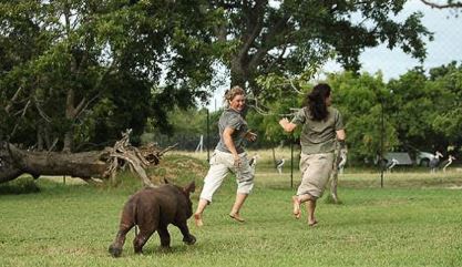 Visit the Moholoholo Wildlife Rehabilitation Centre, Kruger National Park, DCC Hotel Collection