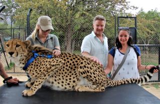 Visit Moholoholo Wildlife Rehabilitation Centre, Kruger National Park, DCC Hotel Collection