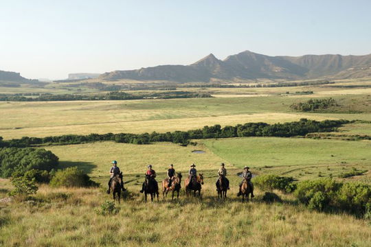 Embrace the freedom of Moolmanshoek, where vast open landscapes invite you to explore on horseback, surrounded by nature’s beauty.