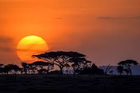 Witness the beauty of nature as the sun sets, casting a warm glow over the rolling hills and expansive fields, perfect for a peaceful outdoor retreat.