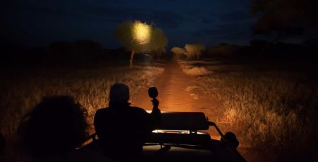 Night Game Drives, Lalibela Game Reserve, DCC Hotel Collection