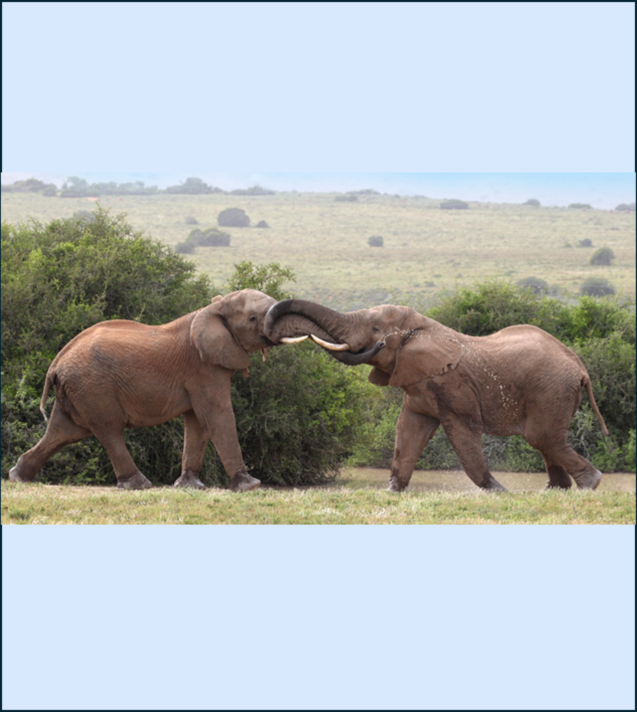 Experience Quatermain's 1920's Safari Camp at The DCC Hotel Group