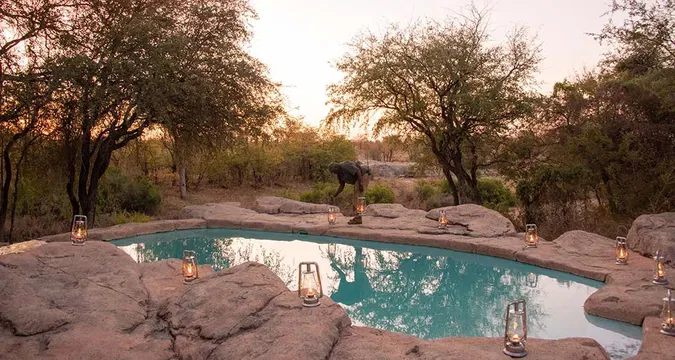 Simbavati River Sands offers a serene poolside experience, where nature and calm waters come together for a perfect retreat.