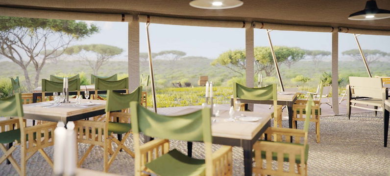 Relax and dine in the serene outdoor setting of Simbavati Camp Musabi, where comfort meets nature under the shade, creating the perfect ambiance for a safari retreat.