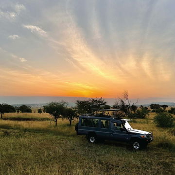 Surrounded by the vast fields and trees of Serengeti, the scene captures a peaceful pause in nature, offering a perfect blend of adventure and tranquility.