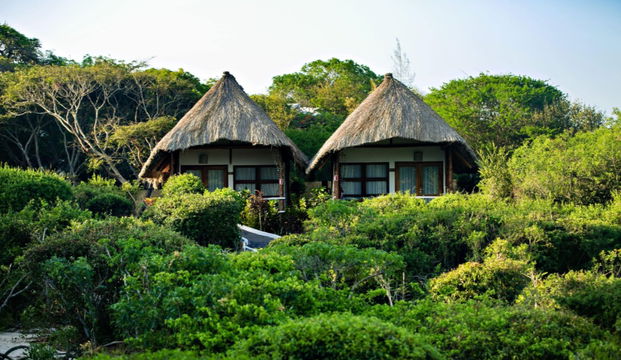 Two charming lodge bungalows at Vilanculos Beach Lodge, nestled amidst lush tropical greenery for a serene retreat.