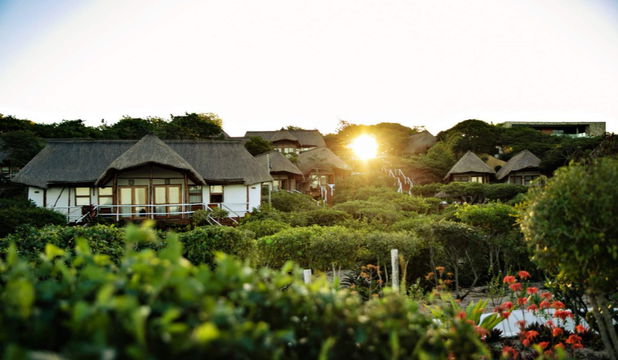 Nestled in lush greenery, Vilanculos Beach Lodge offers charming bungalows with a serene beachfront escape in Mozambique.