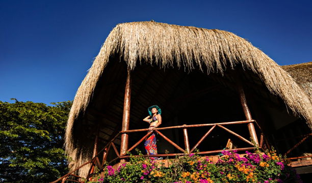 Vilanculos Beach Lodge offers a tranquil outdoor setting, surrounded by lush plants and flowers, perfect for a tropical escape.