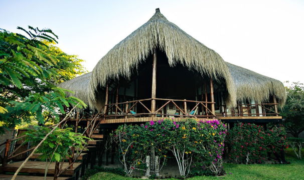 Vilanculos Beach Lodge features a wooden house surrounded by lush greenery and gardens, offering a serene, nature-filled retreat.