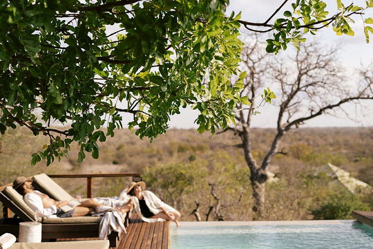 Simbavati Hilltop Lodge offers a peaceful retreat by the lake, where guests can unwind on a bench surrounded by lush trees and tranquil waters. The serene setting is perfect for enjoying the beauty of nature and embracing the calming summer ambiance.