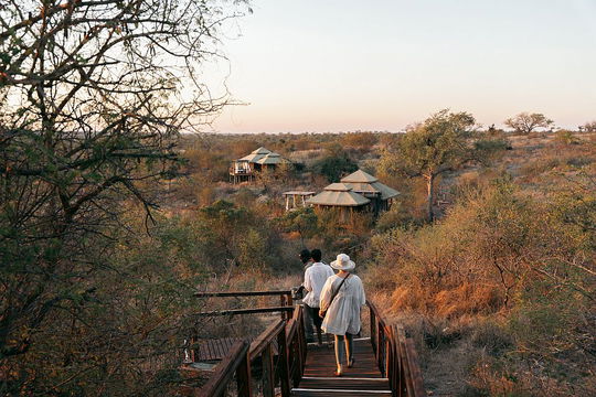 Simbavati Hilltop Lodge offers a picturesque escape, where guests can stroll across a bridge immersed in nature. Surrounded by trees, lush grass, and a clear sky, this tranquil setting invites a deep connection with the landscape and the beauty of outdoor travel.