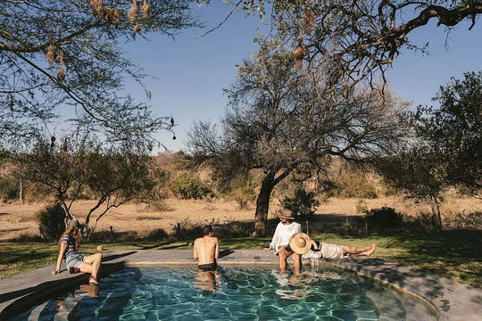 Relax by the pool at Simbavati Homestead, where good company, nature, and serene surroundings create the perfect retreat.